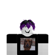 Roblox avatar